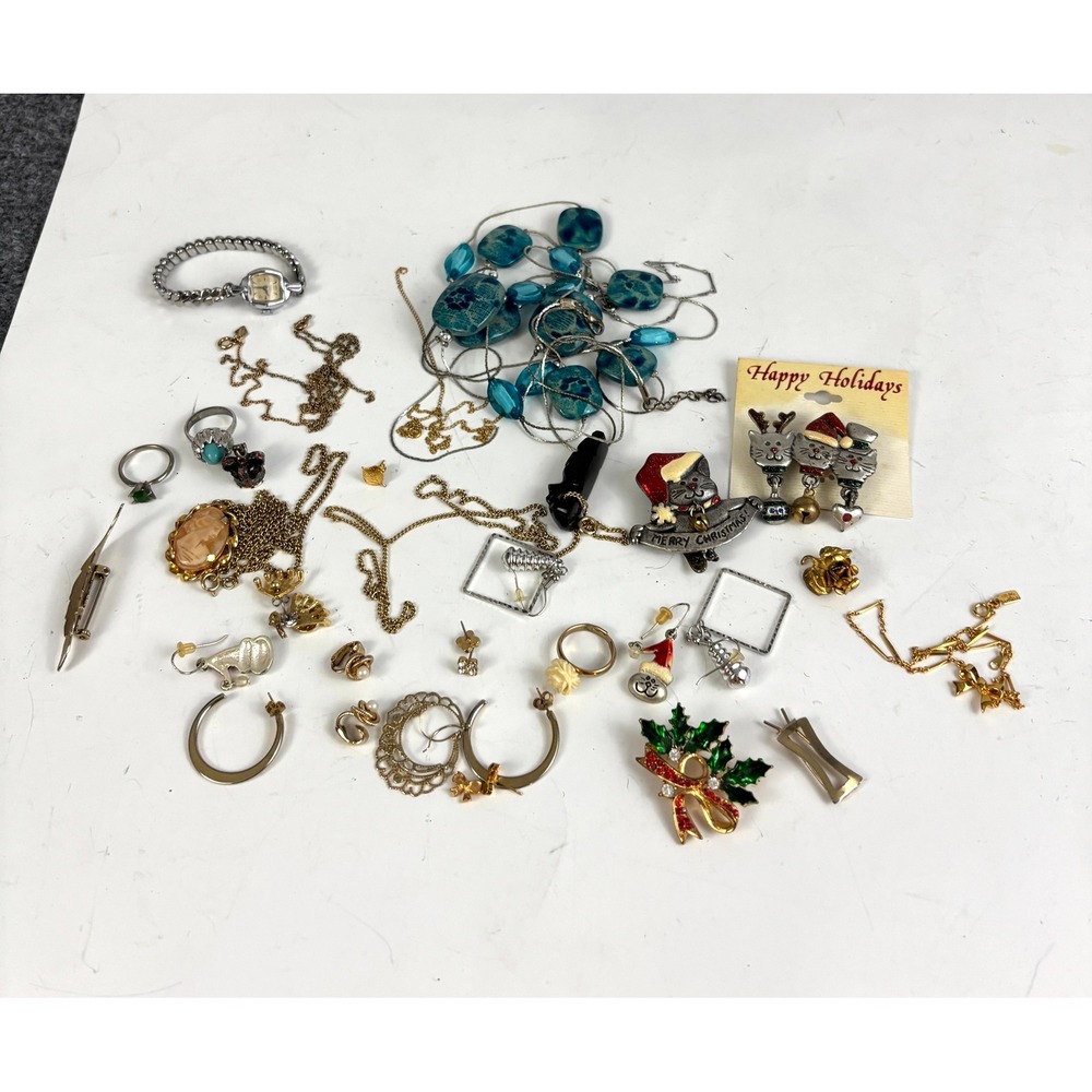 Vintage Costume Jewelry Lot Necklaces Earrings Rings Brooches Mixed‎ Wearable